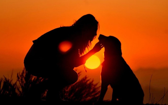 dog-with-person-in-sunset-love1