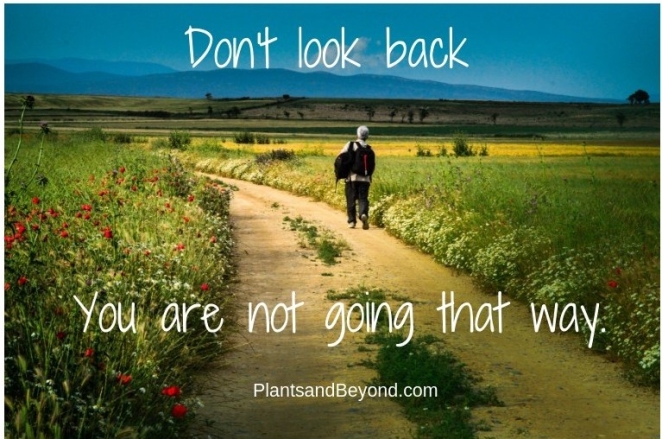 Don't Look Back (1)