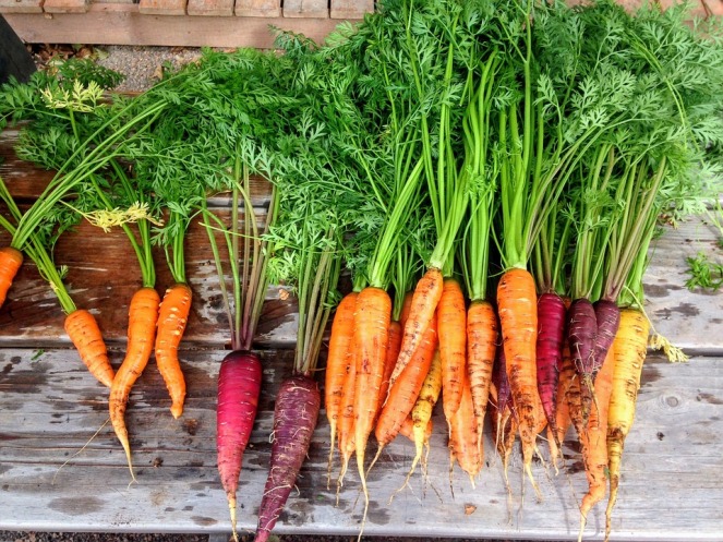 Vegetable Fresh Produce Carrot Food Carrots