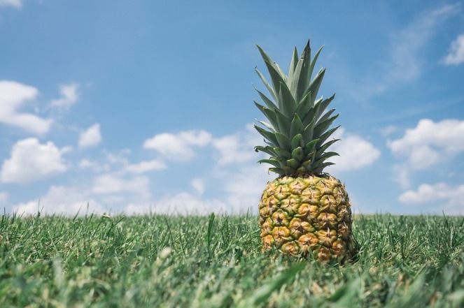 pineapple-fibonacci